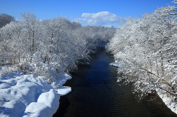 Hokkaido: Scenery of fresh snow