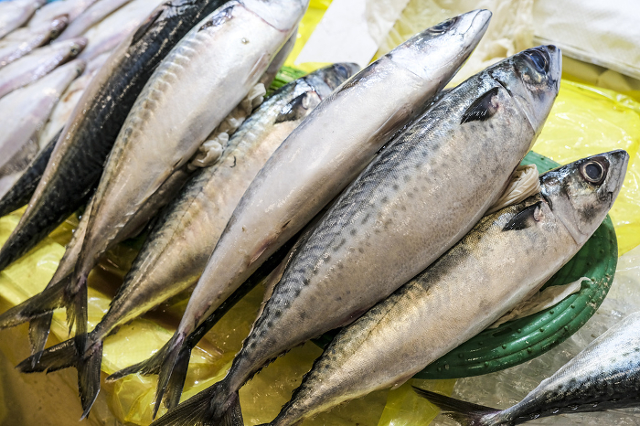 Fresh mackerel in a Korean seafood market