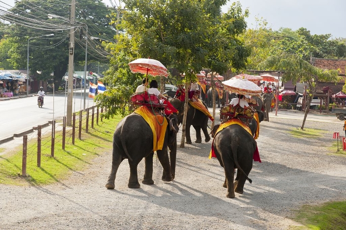 Tourists riding elephants