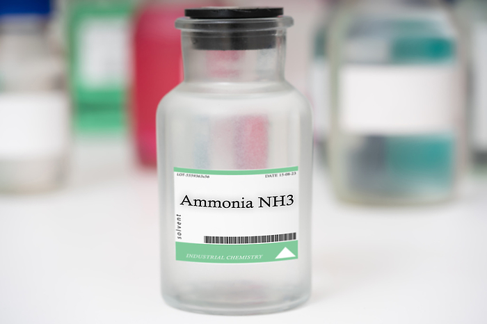 Bottle of ammonia Bottle of ammonia. A colourless gas with a pungent odour that is used as a cleaning and bleaching agent., by WLADIMIR BULGAR SCIENCE PHOTO LIBRARY