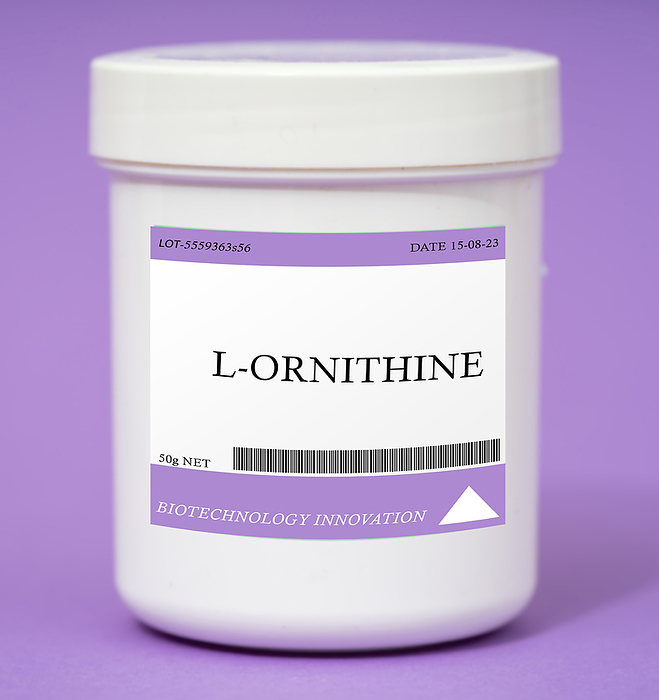 Container of L ornithine Container of L ornithine. L ornithine is an amino acid used to support athletic performance and reduce fatigue., by Wladimir Bulgar SCIENCE PHOTO LIBRARY