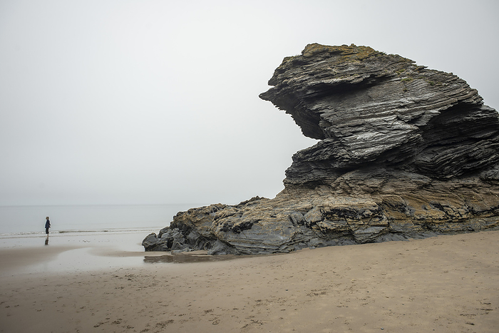 Carreg Bica, Llangrannog Beach, Ceredigion, Wales, UK Carreg Bica, named after a mythical giant, is a sea stack formed from slumped beds of the Yr Allt Formation  Ashgill series  of Ordovician mudstone and sandstone cliffs both sides of Llangranog, Wales, UK., by ROBERT BROOK SCIENCE PHOTO LIBRARY