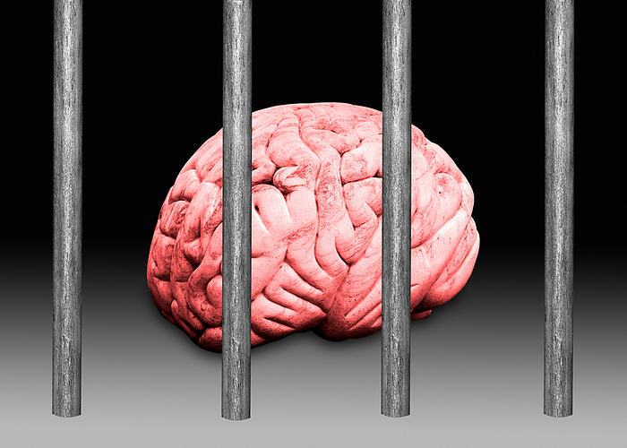 Imprisoned brain, cocneptual illustration Conceptual illustration depicting a human brain confined behind bars. This could symbolise the adverse impact that the prison environment can have on the brain, due to the disconnection from family, society, and social support, a loss of autonomy, a reduced sense of meaning and purpose in life, fear of victimisation, increased boredom, unpredictability of surroundings, overcrowding, and punitiveness., by VICTOR de SCHWANBERG SCIENCE PHOTO LIBRARY