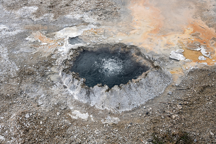 Geyser Geyser. Photographed in Yellowstone National Park, Wyoming, USA., by DR P. MARAZZI SCIENCE PHOTO LIBRARY
