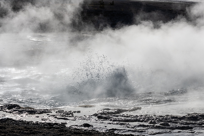 Steam rising from river in Yellowstone National Park, USA Steam rising from river in Yellowstone National Park, Wyoming, USA., by DR P. MARAZZI SCIENCE PHOTO LIBRARY