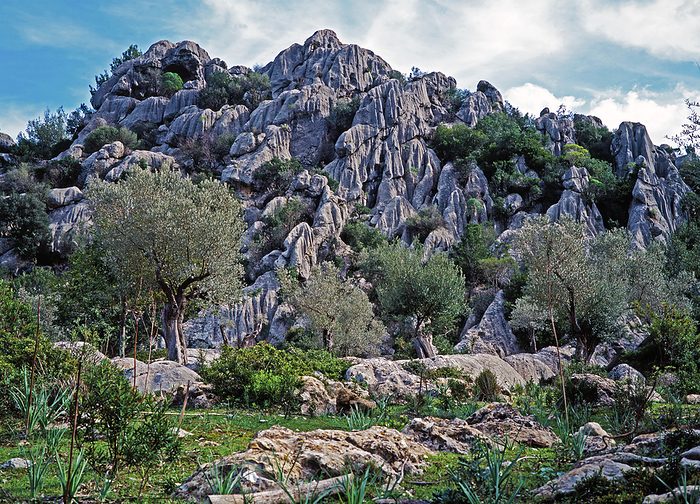 Karst landscape, Mallorca, Spain Karst landscape, Mallorca, Spain. Limestone deposits displaying repetitive, crevasse like weathering patterns are the result of leaching, that is When occurring on a large scale, over long periods of time, a karst landscape takes form. When occurring on a large scale, over long periods of time, a karst landscape takes form. by DIRK WIERSMA SCIENCE PHOTO LIBRARY
