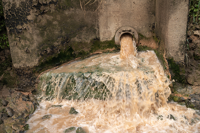 Effluent discharge from a factory Effluent being discharged from a factory into the River Cleddau at Merlin s Bridge, Haverfordwest, Pembrokehshire, Wales, UK. Photographed on the 16th June 2023., by ANDY DAVIES SCIENCE PHOTO LIBRARY