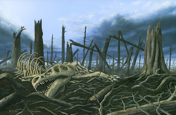 End of the Cretaceous, illustration Illustration of the aftermath from the destruction caused by a comet or asteroid that impacted the Earth. A skeleton of a T. Rex lies amongst the smashed trees. After a few months of cold and darkness, seeds, spores and surviving plants will soon germinate and grow again, surviving animals  including mammals  underground in burrows, in tree holes and elsewhere will come out again, heralding the end of the Cretaceous and a new age  the Palaeogene of the Cenozoic Era has started., by RICHARD BIZLEY SCIENCE PHOTO LIBRARY