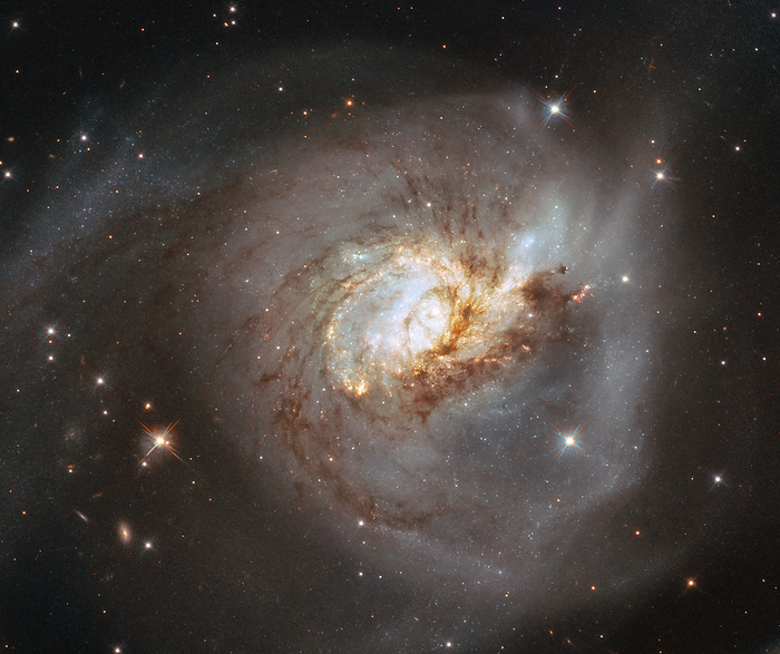Peculiar galaxy NGC 3256, HST image Peculiar galaxy NGC 3256, Hubble Space Telescope  HST  image. This galaxy is located 100 million light years from Earth, in the constellation of Vela. NGC 3256 is the result of a past galactic merger, which has created its distorted appearance. This makes it a good site for researching starbursts caused by a much higher rate of star formation than usual. This optical image was obtained with the HST s Advanced Camera for Surveys  ACS  and Wide Field Camera 3  WFC3 ., by ESA Hubble, NASA SCIENCE PHOTO LIBRARY