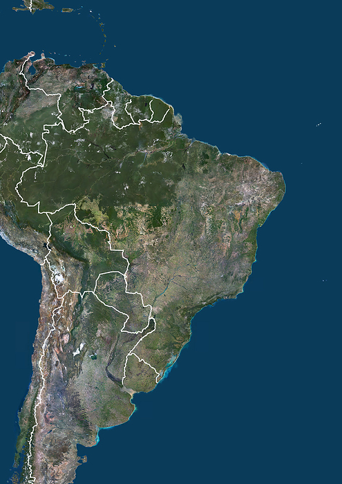Brazil, satellite image Colour satellite image of Brazil and neighbouring countries  French Guiana, Suriname, Guyana, Venezuela, Bolivia, Paraguay, Uruguay , with borders., by PLANETOBSERVER SCIENCE PHOTO LIBRARY