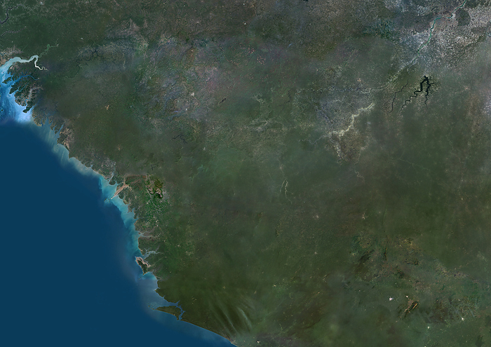 Guinea and Sierra Leone, satellite image Colour satellite image of Guinea, Sierra Leone and neighbouring countries., by PLANETOBSERVER SCIENCE PHOTO LIBRARY