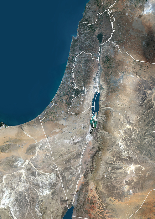 Israel and the Palestinian Territories, satellite image Colour satellite image of Israel and the Palestinian Territories, with borders., by PLANETOBSERVER SCIENCE PHOTO LIBRARY