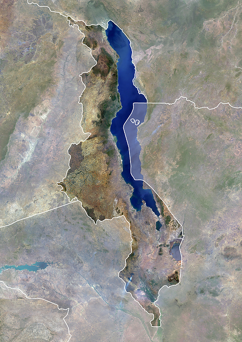 Malawi, satellite image Colour satellite image of Malawi, with borders, by PLANETOBSERVER SCIENCE PHOTO LIBRARY