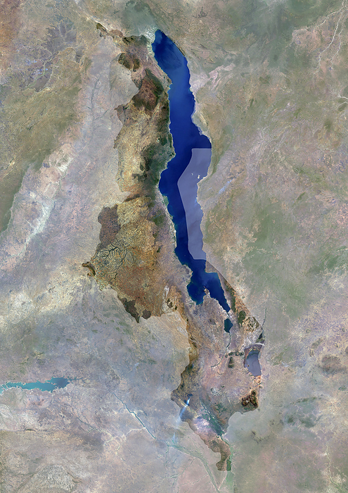 Malawi, satellite image Colour satellite image of Malawi., by PLANETOBSERVER SCIENCE PHOTO LIBRARY