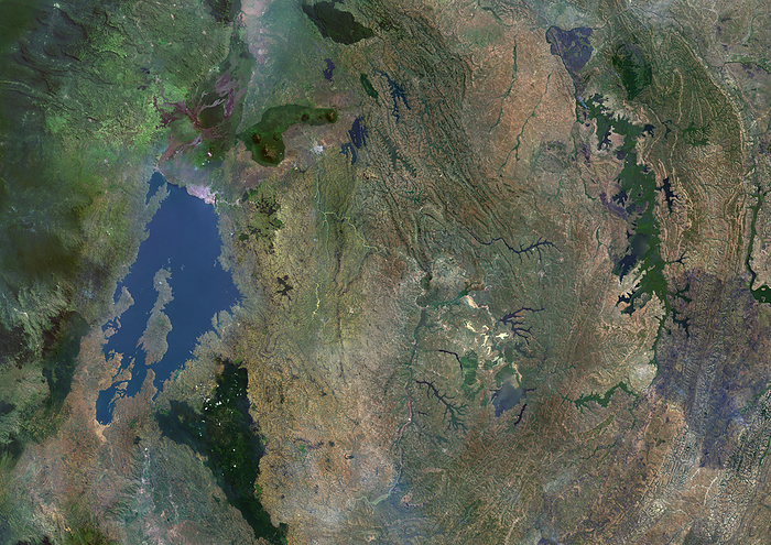 Rwanda, satellite image Colour satellite image of Rwanda and neighbouring countries., by PLANETOBSERVER SCIENCE PHOTO LIBRARY