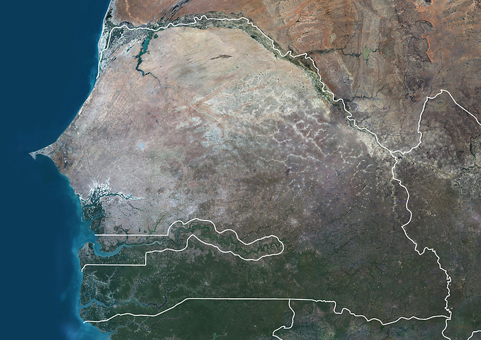 Senegal and Gambia, satellite image Colour satellite image of Senegal, Gambia and neighbouring countries, with borders., by PLANETOBSERVER SCIENCE PHOTO LIBRARY