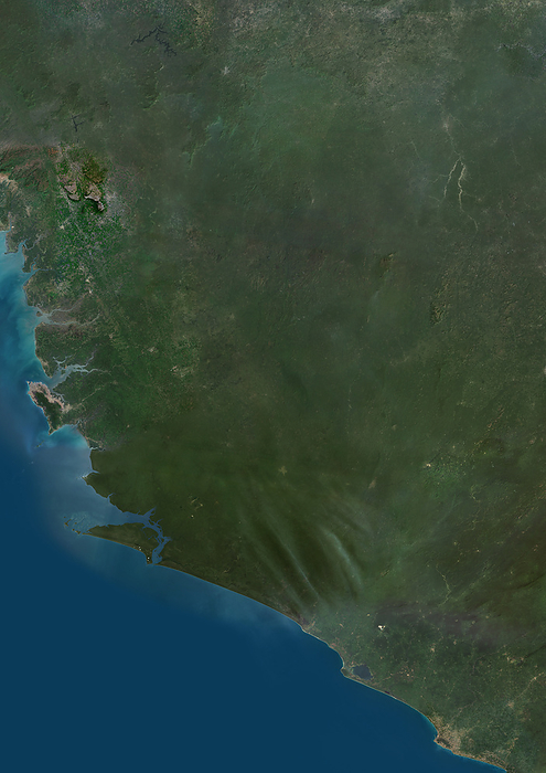 Sierra Leone, satellite image Colour satellite image of Sierra Leone and neighbouring countries., by PLANETOBSERVER SCIENCE PHOTO LIBRARY