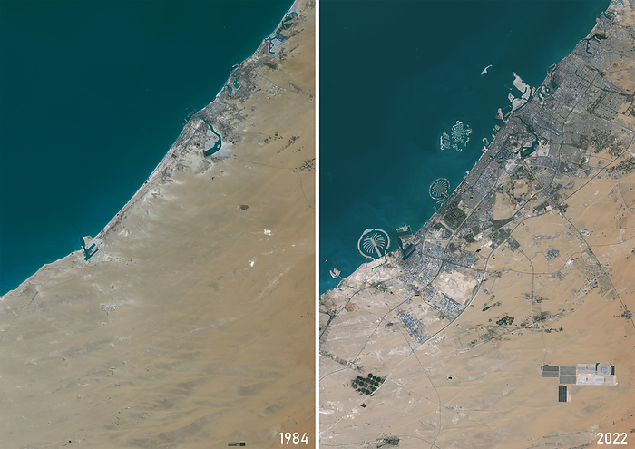 Dubai in 1984 and 2022, satellite image Colour satellite image of Dubai in 1984 and 2022., by PLANETOBSERVER SCIENCE PHOTO LIBRARY
