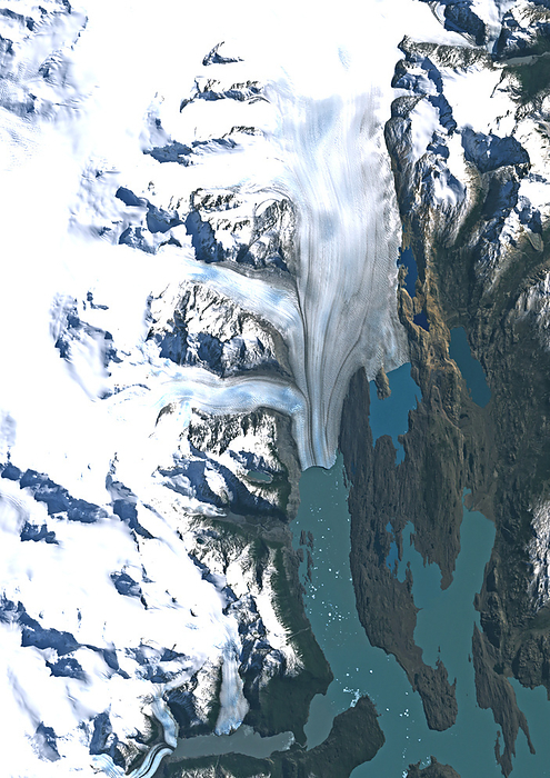 Upsala Glacier, Argentina in 2001, satellite image Colour satellite image of Upsala Glacier in Argentina   Los Glaciares National Park in 2001. It has experienced significant retreat over the past Its melting indicates climate warming in this part of South America. by PLANETOBSERVER SCIENCE PHOTO LIBRARY