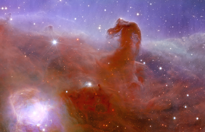 Horsehead Nebula, Euclid image Euclid telescope image of the Horsehead Nebula, one of the first five images released from Euclid on the 11th of November 2023. The Horsehead Nebula, also known as Barnard 33, forms part of the Orion constellation. At approximately 1,375 light years away, it is the closest giant star forming region to Earth. This image was created in about 1 hour, showcasing Euclid s ability to create sharp images of broad regions of space faster than any previous telescope. This speed will allow Euclid to create the largest 3D map of the universe to date as part of its mission to investigate how dark matter and dark energy have shaped the universe. By observing billions of galaxies up to ten billion light years away, Euclid will provide a valuable insight into the way that galaxies expand and move. From this, it will be possible for the properties of dark matter and dark energy to be inferred. This image was obtained by combining data from Euclid s visible instrument  VIS  and near infrared spectrometer and photometer  NISP , by EUROPEAN SPACE AGENCY SCIENCE PHOTO LIBRARY