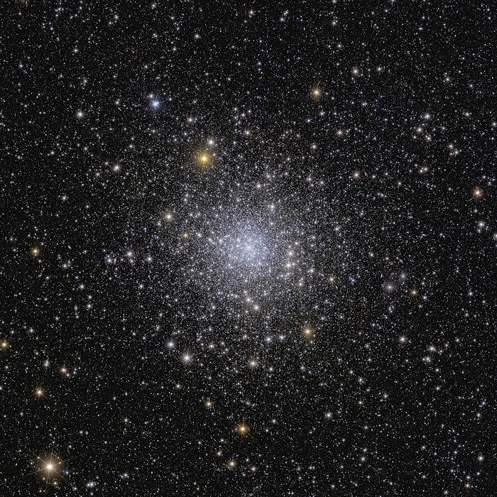 Globular cluster NGC 6397, Euclid image Euclid telescope image of globular cluster NGC 6397, one of the first five images released from Euclid on the 11th of November 2023. Globular clusters are collections of hundreds of thousands of stars held together by gravity. At around 7,800 light years away, NGC 6397 is the second closest globular cluster to Earth, and it is found orbiting the Milky Way. Euclid is the first telescope able to observe an entire globular cluster whilst maintaining sharp images of features in its outer reaches, and do so in just one hour. This quality will allow Euclid to create the largest 3D map of the universe to date as part of its mission to investigate how dark matter and dark energy have shaped the universe. By observing billions of galaxies up to ten billion light years away, Euclid will provide a valuable insight into the way that galaxies expand and move. From this, it will be possible for the properties of dark matter and dark energy to be inferred. This image was obtained by combining data from Euclid s visible instrument  VIS  and near infrared spectrometer and photometer  NISP ., by EUROPEAN SPACE AGENCY SCIENCE PHOTO LIBRARY