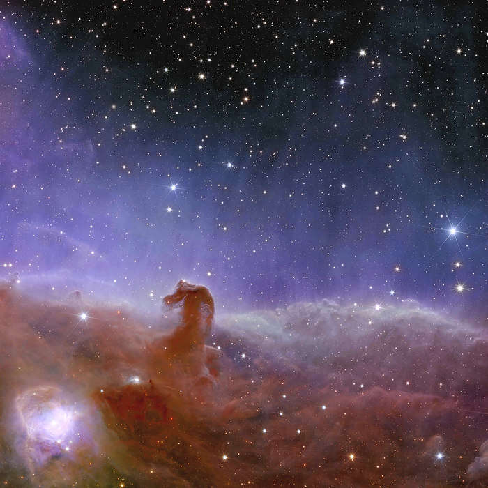 Horsehead Nebula, Euclid image Euclid telescope image of the Horsehead Nebula, one of the first five images released from Euclid on the 11th of November 2023. The Horsehead Nebula, also known as Barnard 33, forms part of the Orion constellation. At approximately 1,375 light years away, it is the closest giant star forming region to Earth. This image was created in about 1 hour, showcasing Euclid s ability to create sharp images of broad regions of space faster than any previous telescope. This speed will allow Euclid to create the largest 3D map of the universe to date as part of its mission to investigate how dark matter and dark energy have shaped the universe. By observing billions of galaxies up to ten billion light years away, Euclid will provide a valuable insight into the way that galaxies expand and move. From this, it will be possible for the properties of dark matter and dark energy to be inferred. This image was obtained by combining data from Euclid s visible instrument  VIS  and near infrared spectrometer and photometer  NISP ., by EUROPEAN SPACE AGENCY SCIENCE PHOTO LIBRARY