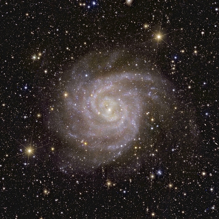 Spiral galaxy IC 342, Euclid image Euclid telescope image of spiral galaxy IC 342, one of the first five images released from Euclid on the 11th of November 2023. IC 342 is located around 11 million light years from Earth, and in some ways resembles the Milky Way. This makes it a useful object for the study of our own galaxy. It is known as the Hidden Galaxy owing to its position behind dust, gas and stars, but Euclid s near infrared spectrometer and photometer  NISP  is able to capture a clear image through these obstructions. The value of Euclid s telescope is that it can capture images such as these in just one shot. This allows scientists to obtain detailed images of large portions of space faster than other space telescopes previously allowed. This quality will allow Euclid to create the largest 3D map of the universe to date as part of its mission to investigate how dark matter and dark energy have shaped the universe. By observing billions of galaxies up to ten billion light years away, Euclid will provide a valuable insight into the way that galaxies expand and move. From this, it will be possible for the properties of dark matter and dark energy to be inferred. This image was obtained by combining data from Euclid s visible instrument  VIS  and NISP., by EUROPEAN SPACE AGENCY SCIENCE PHOTO LIBRARY