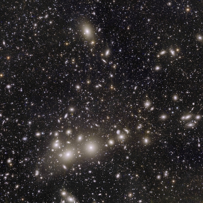 The Perseus Cluster, Euclid image Euclid telescope image of the Perseus Cluster of galaxies, one of the first five images released from Euclid on the 11th of November 2023. This image captures 1,000 galaxies belonging to the Perseus Cluster as well as over 100,000 more distant galaxies in the background. Perseus is one of the largest known structures in the universe and is around 240 million light years away from Earth. Many of the distant galaxies captured in this image have never before been observed. Euclid is able to capture images of this scale at greater speed and with greater clarity than any previous telescope. This quality will allow Euclid to create the largest 3D map of the universe to date as part of its mission to investigate how dark matter and dark energy have shaped the universe. By observing billions of galaxies up to ten billion light years away, Euclid will provide a valuable insight into the way that galaxies expand and move. From this, it will be possible for the properties of dark matter and dark energy to be inferred. This image was obtained by combining data from Euclid s visible instrument  VIS  and near infrared spectrometer and photometer  NISP ., by EUROPEAN SPACE AGENCY SCIENCE PHOTO LIBRARY