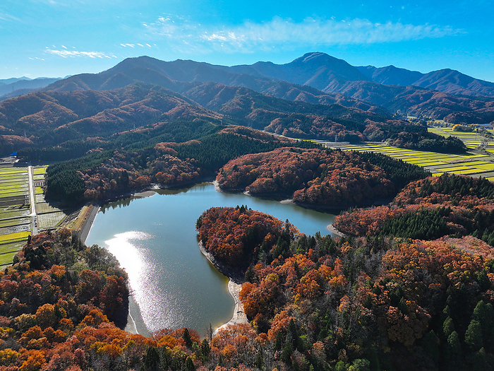 Oyachi Tsutsumi Autumn leaves Hakusan Drone photography