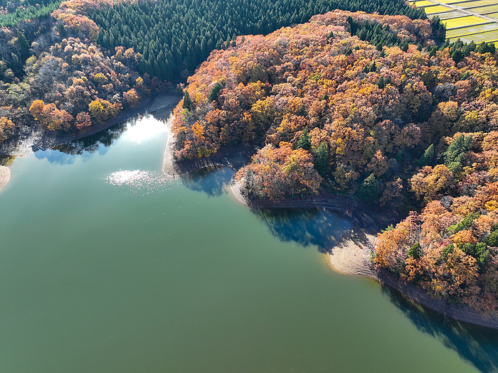 Oyachi Tsutsumi Autumn leaves Drone photography
