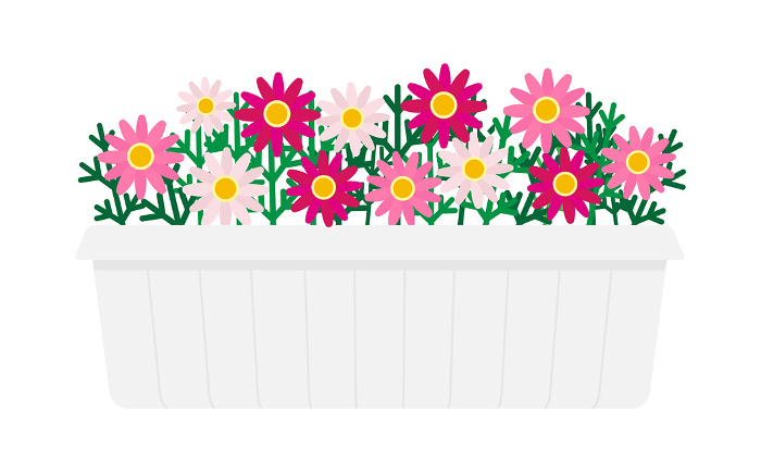 Clip art of pink marguerite in planter