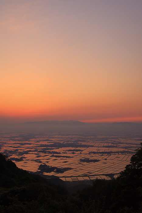 Echigo Plain rice paddies and morning sky seen from Mt. Yahiko Niigata
