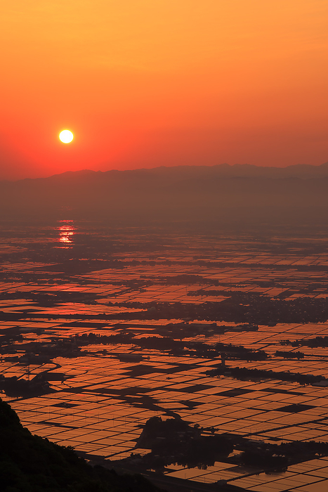 Echigo Plain rice paddies and morning sun seen from Mt. Yahiko Niigata Prefecture