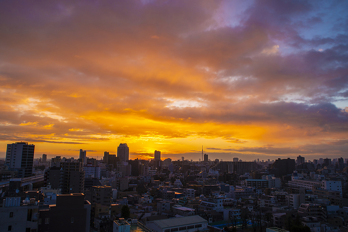 Before sunrise in Tokyo before sunrise