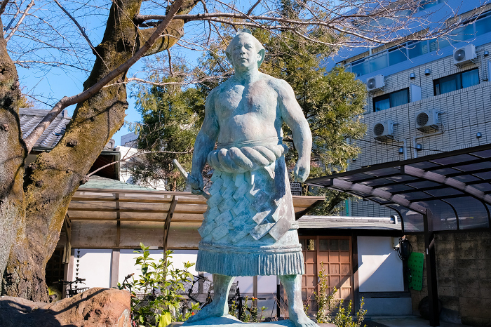 Statue of Chiyonofuji, Gyokurinji Temple, Taito-ku, Tokyo