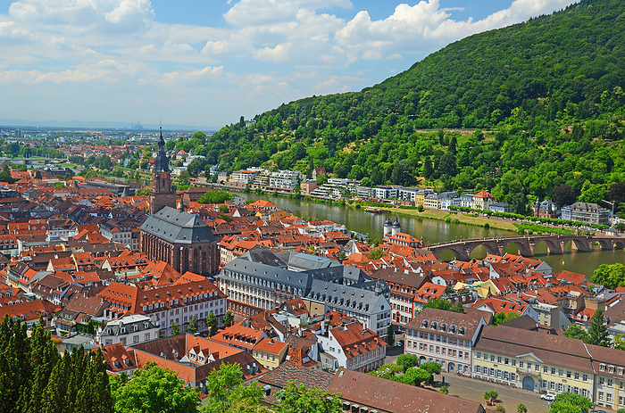 View from Heidelberg Castle Heidelberg Germany
