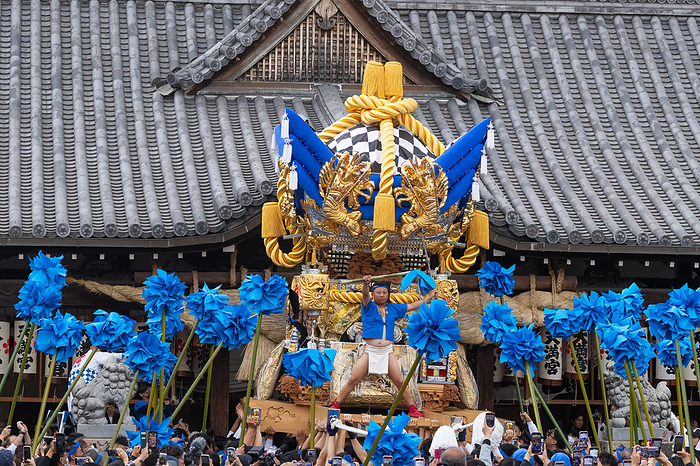 Hyogo Prefecture Sone Tenmangu Shrine Autumn Grand Festival (Hongu) Fudan Yatai Miyairi (Western Ibo)