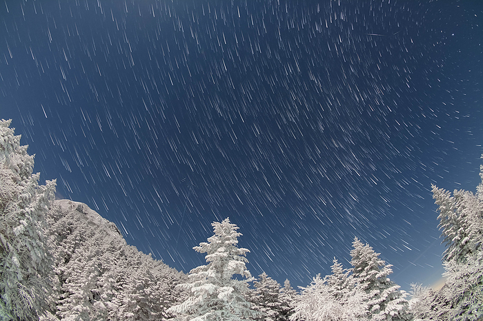 Yatsugatake on a moonlit night, starscape, snow-covered mountains, and tree ice