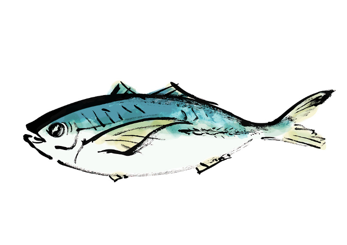 clip art of fish(horse mackerel)