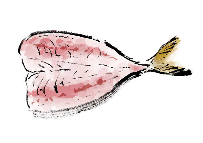 clip art of horse mackerel