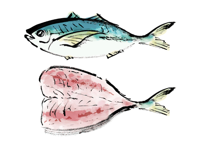 Japanese-style handwritten illustration of a whole fish (horse mackerel) and its processing