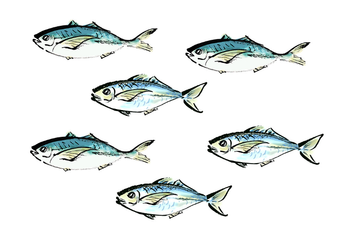 Japanese-style handwritten illustration of a lot of fish (horse mackerel) swimming