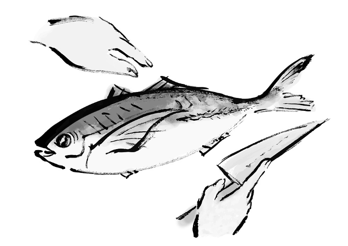 Japanese-style handwritten illustration of a fish (horse mackerel) being processed
