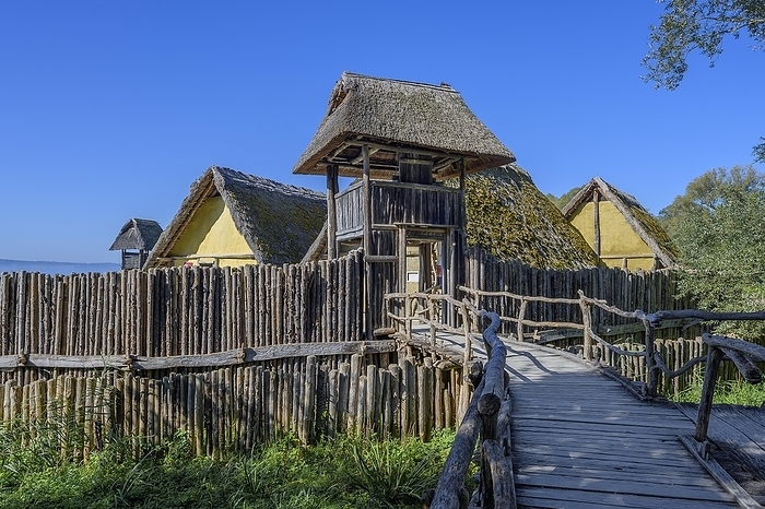 Wooden walkway, palisades and entrance gate, pile dwellings on the shores of Lake Constance, a tourist attraction in the region and the oldest archaeological open-air museum in Germany, Uhldingen-Mühlhofen, Lake Constance district, Baden-Württemberg, Germany, Europe, by Manfred Bail