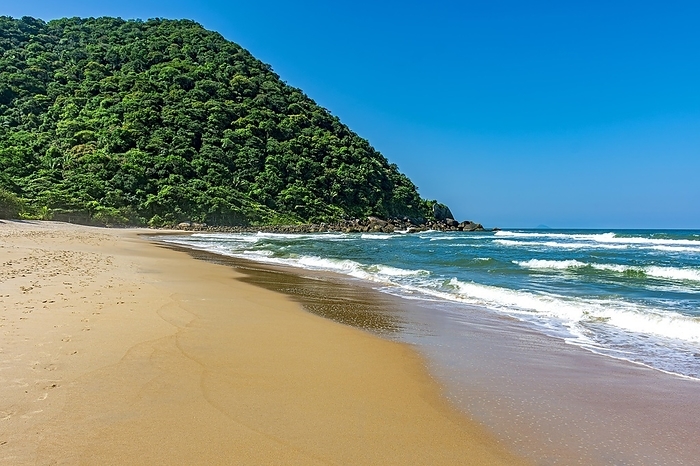 Deserted beach with preserved forests in Guaruja on the north coast of the state of Sao Paulo, Brasil, by Fred Pinheiro