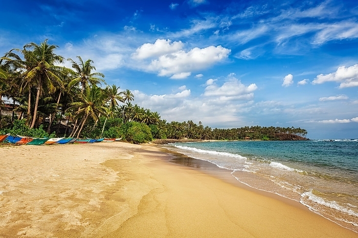 Tropical vacation holiday background, paradise idyllic beach. Mirissa, Sri lanka, by Dmitry Rukhlenko