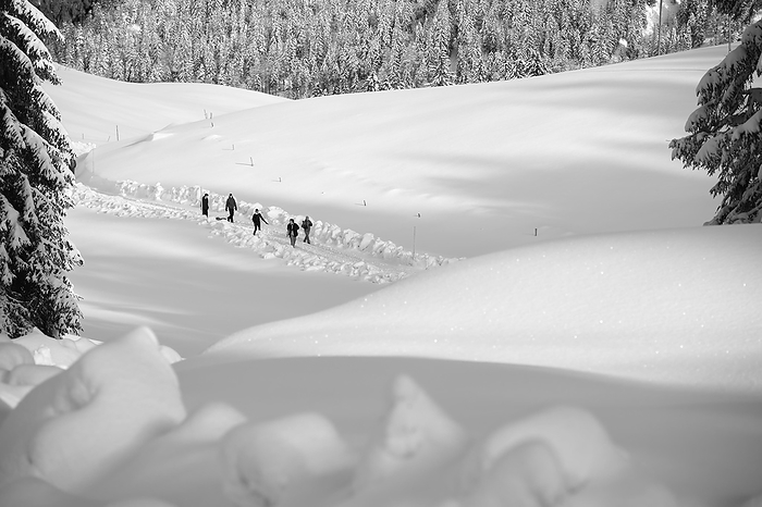 Five hikers on a winter hike to Bodenschneidhaus, snow, Neuhaus am Schliersee, Mangfall mountains, Bavarian Prealps, Upper Bavaria, Bavaria, Germany, Europe, by Hermann Dobler