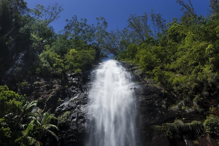 Protesters falls, waterfall, water, fresh, nature, environment, Nightcap National Park, Queensland, Australia, Oceania, by Franzel Drepper