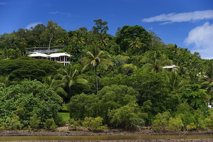 Luxury villas in the bay, palm trees, tropics, tropical, living, architecture, jungle of Port Douglas, Queensland, Australia, Oceania, by Franzel Drepper