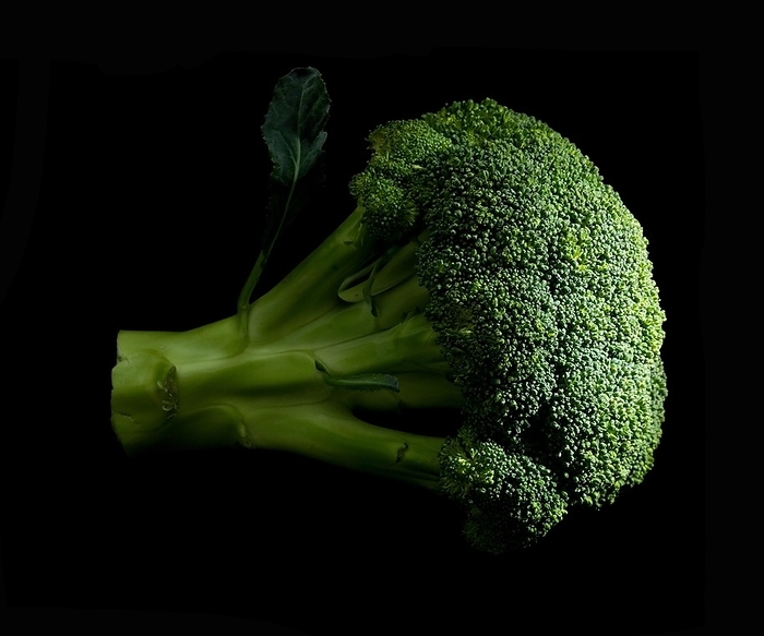 Fresh vivid green broccoli on black background, by Unspecified